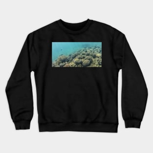 Under the Sea Crewneck Sweatshirt